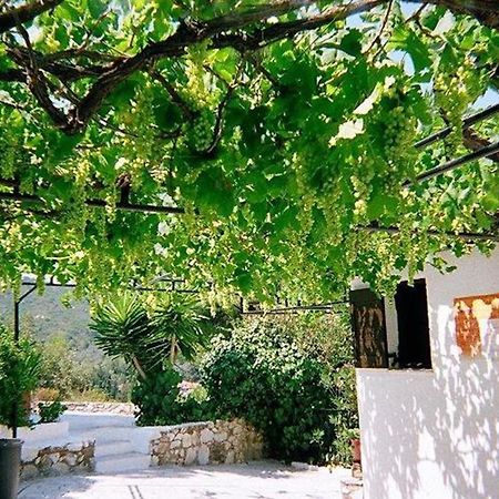 Villa Elpiniki Troulos Exteriér fotografie