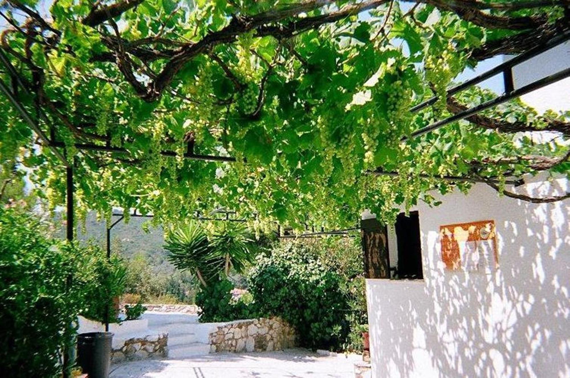 Villa Elpiniki Troulos Exteriér fotografie