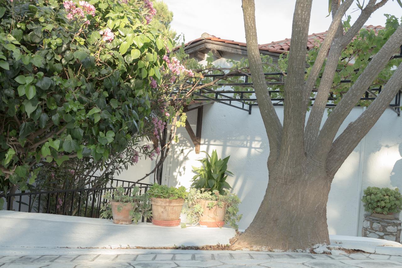 Villa Elpiniki Troulos Exteriér fotografie