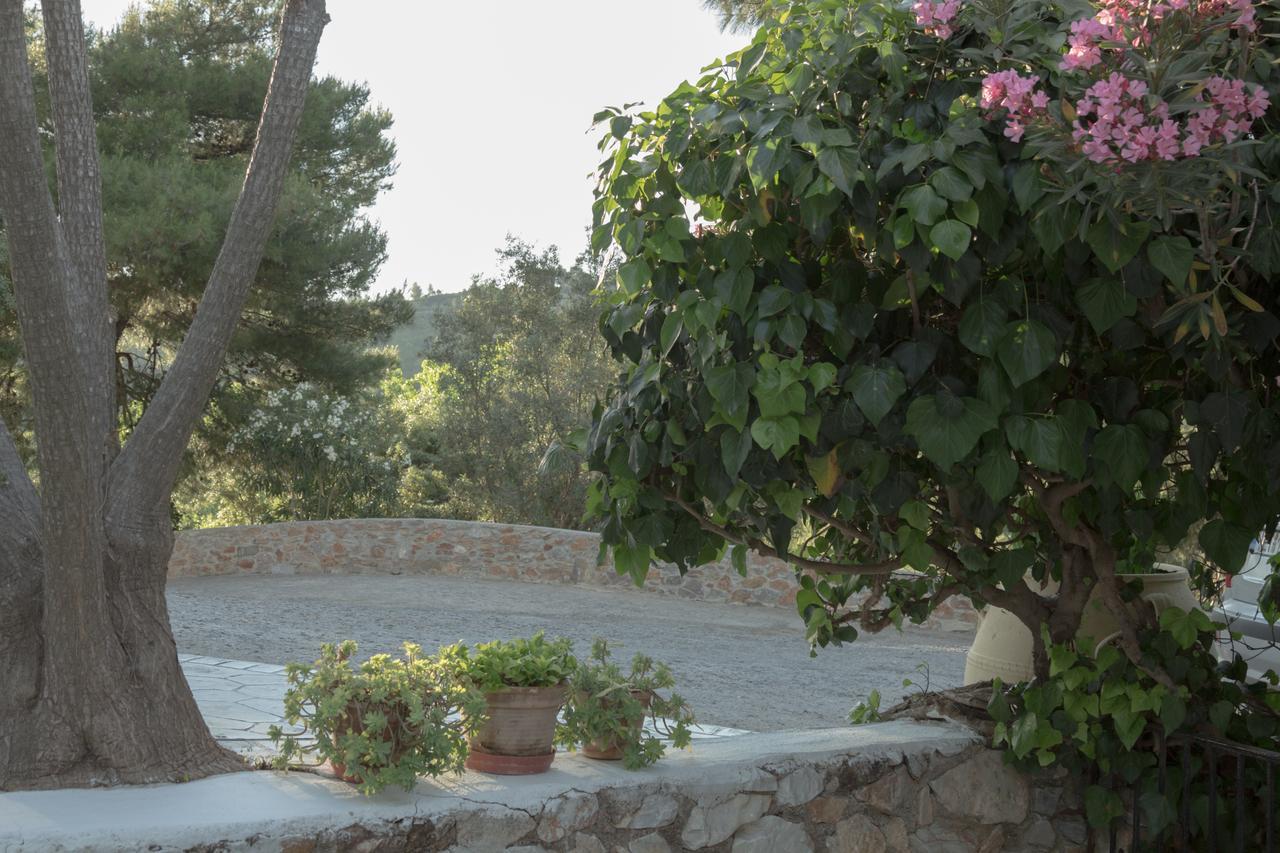 Villa Elpiniki Troulos Exteriér fotografie