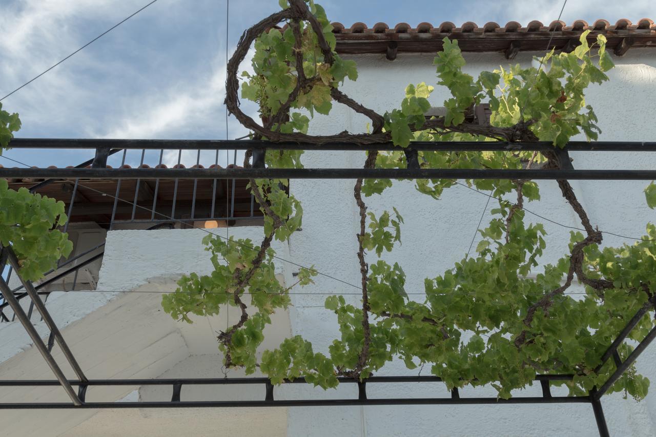 Villa Elpiniki Troulos Exteriér fotografie